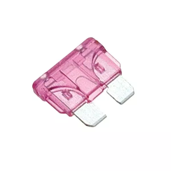 Champion Af 3Amp Standard Blade Fuse (Violet) -10Pk | Auto Fuses - Standard Blade