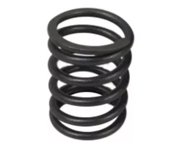 Valve spring